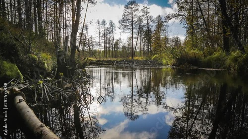 Timelapse. River in forest. Autumn.