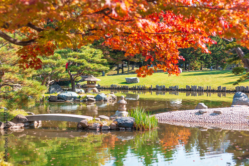 Autumn in the park Japanese garden