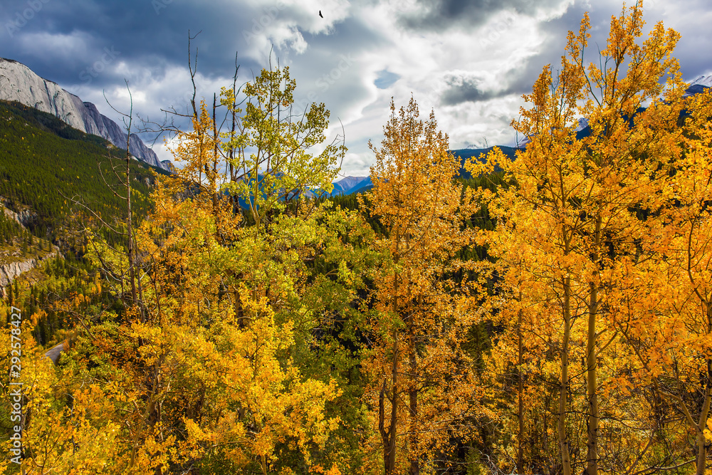 Fototapeta premium The magic colors of northern autumn