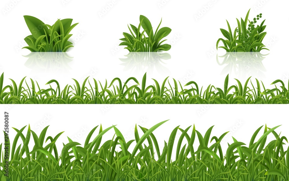 Realistic green grass. 3D fresh spring plants set. Vector isolated illustration bunch herbs on tussock on white background