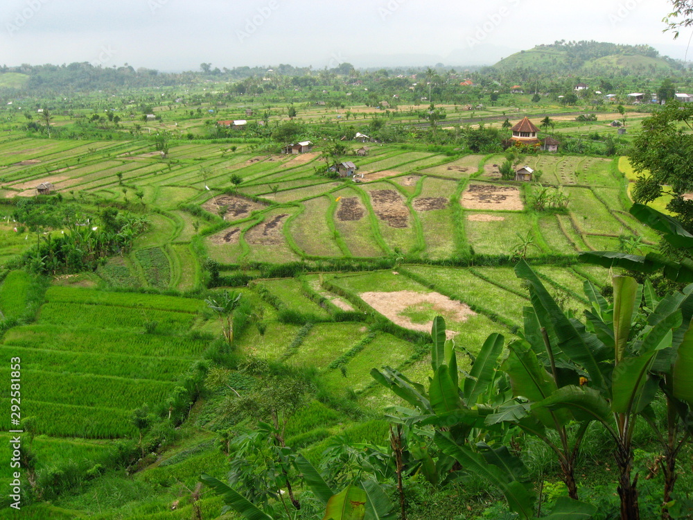 Rice fields in a cloudy sky valley on Bali Island