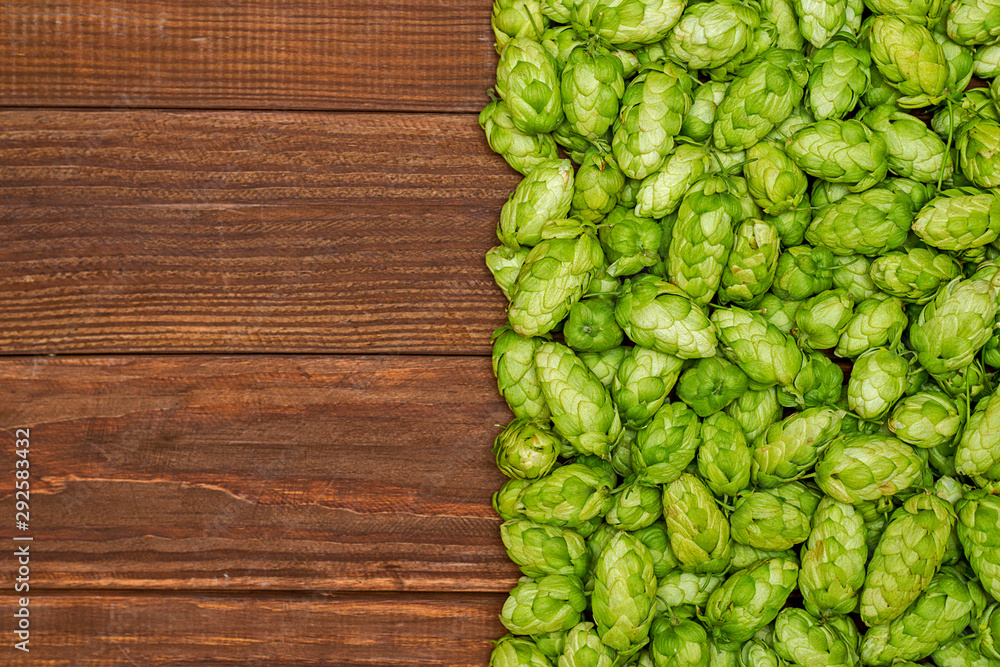 Fresh green hops on a wooden background. Ingredient for beer production. Top view with copy space Fresh green hops on a wooden background. Ingredient for beer production. Top view with copy space