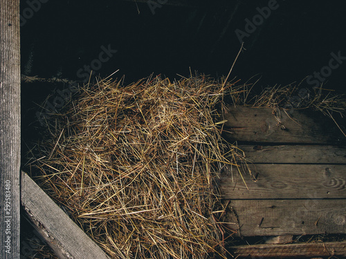 Wooden barn with hay bale coming out. Hay bale, wheat for farm animals. Wood texture, food, dry.