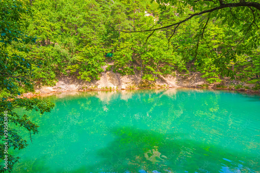 Naklejka premium Summer forest lake emerald color effect