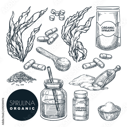 Spirulina seaweeds set, sketch vector illustration. Kelp leaves, powder and pills. Hand drawn superfood design elements
