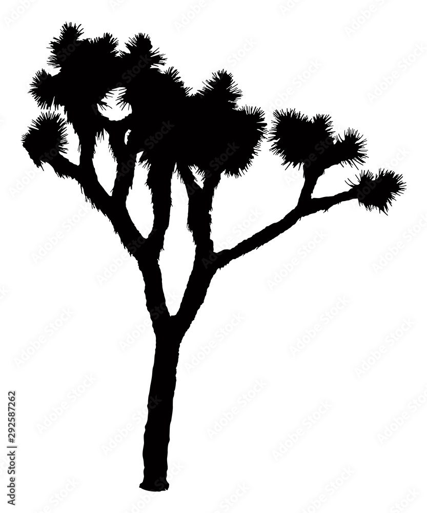 Joshua Tree Silhouette Vector Desert Plant Stock Vector Adobe Stock