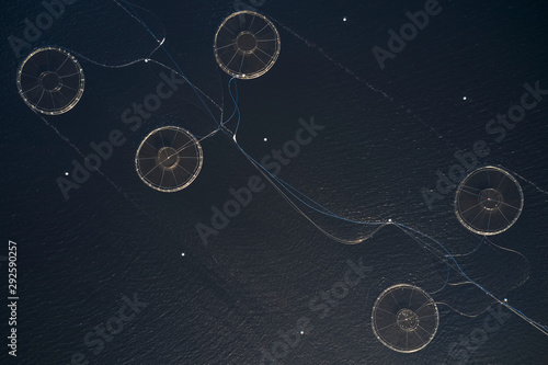 Fish farm salmon sea nets farming at sea Loch Tay Scotland UK photo