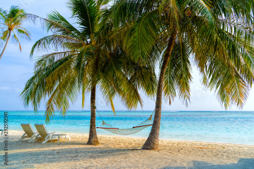 Fototapeta Naklejka Na Ścianę i Meble -  Empty hammock between palms trees at sandy beach