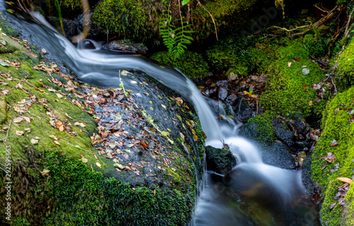agua sedosa recorriendo las rocas musgosas