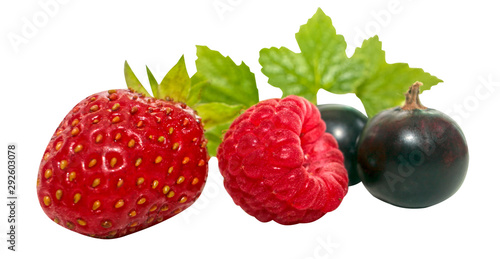 berry strawberry and raspberry with green leaves, isolated on white background.