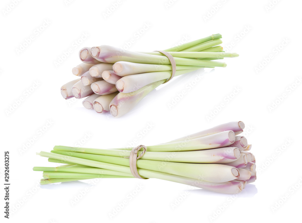 fresh lemon grass on white background fresh lemon grass on white background