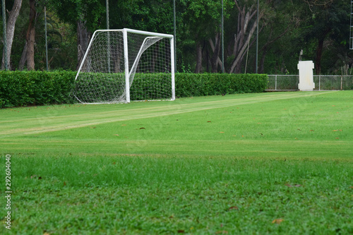 Fototapeta Naklejka Na Ścianę i Meble -  football field Is a green lawn That has been beautifully trimmed