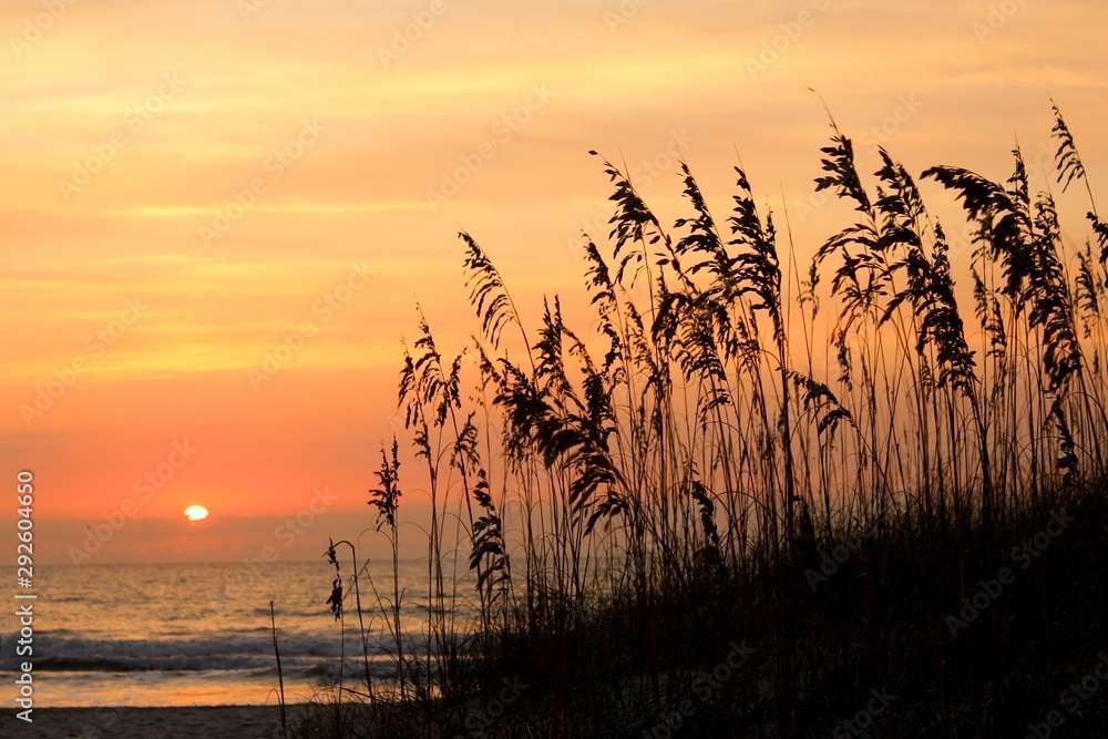 Sunset Amelia Island Florida Beach