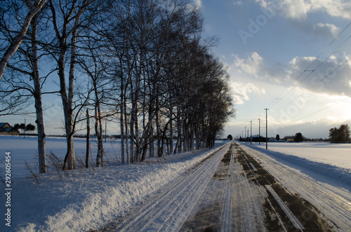 冬の道 © ookinate23