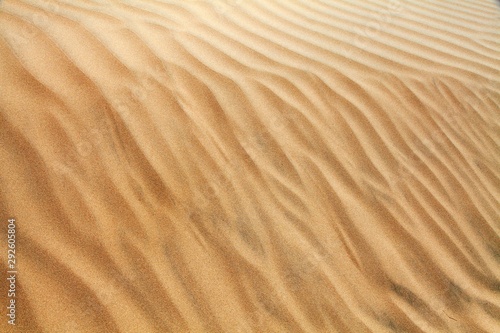 desert sand dunes, sand waves on Cerro Blanco sand dune