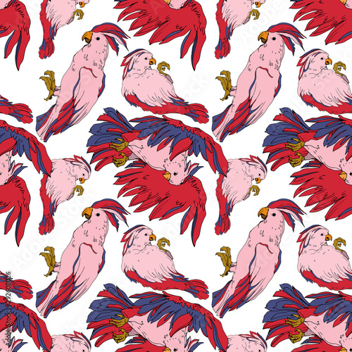 Vector Sky bird cockatoo in a wildlife isolated. Black and white engraved ink art. Seamless background pattern.