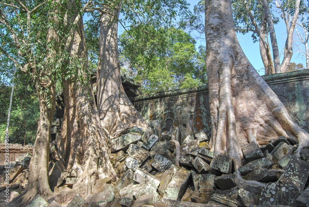The ruins of the wall of the temple Ta Prohm. Angkor Thom. Cambodia The ruins of the wall of the temple Ta Prohm. Angkor Thom. Cambodia