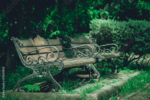 Wooden chair in Wachira Benchachat park photo