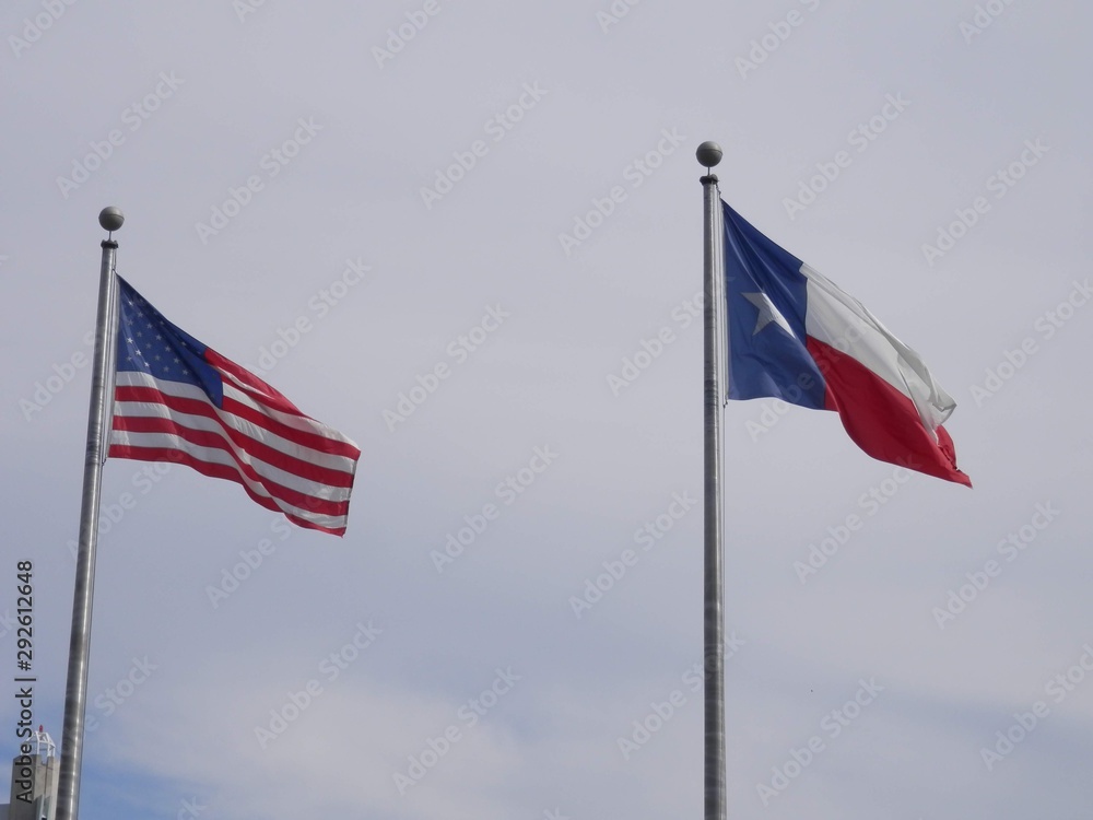 usa and texas flags