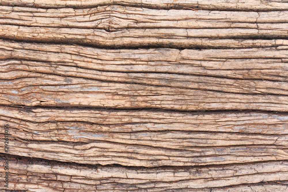 pattern of decay wood pattern of decay wood