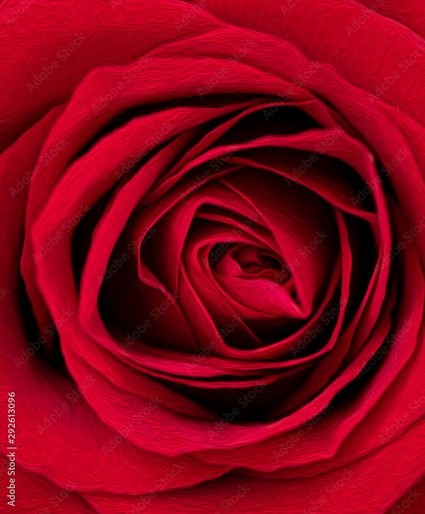 Obraz premium Red Rose Oil Paint