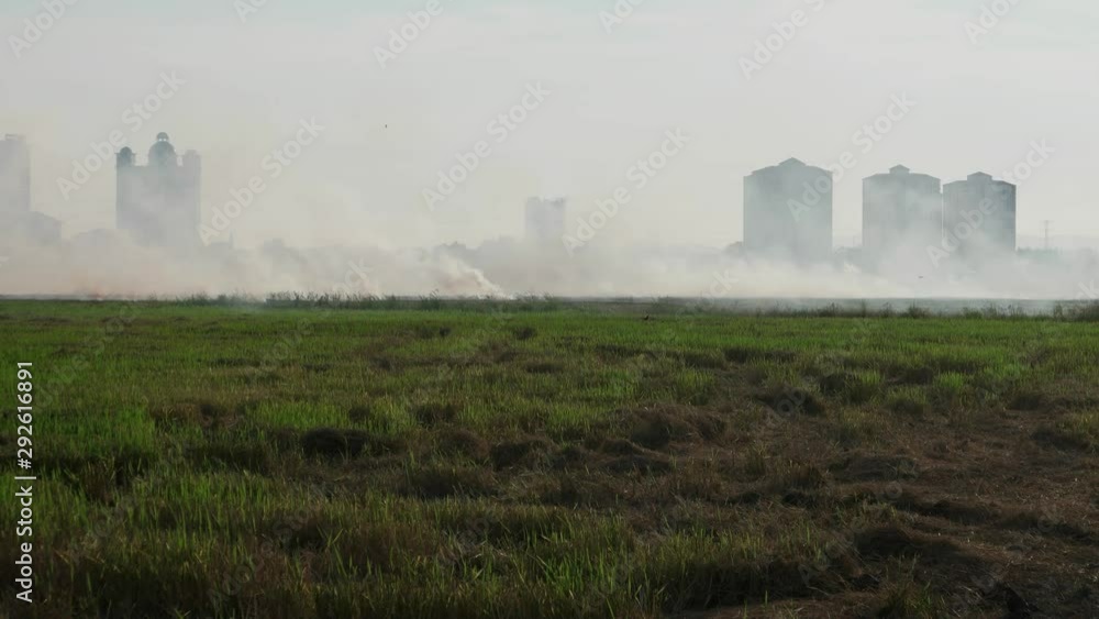 Crop burning in the farm. The fire produce smoke with air pollution. Crop burning in the farm. The fire produce smoke with air pollution.