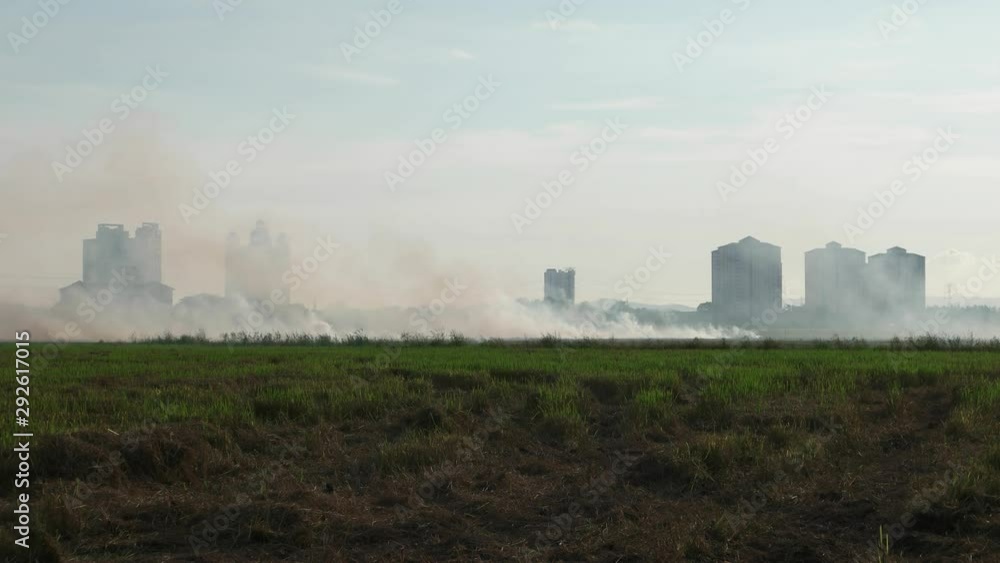 Open burning at country side of agriculture farm. Open burning at country side of agriculture farm.