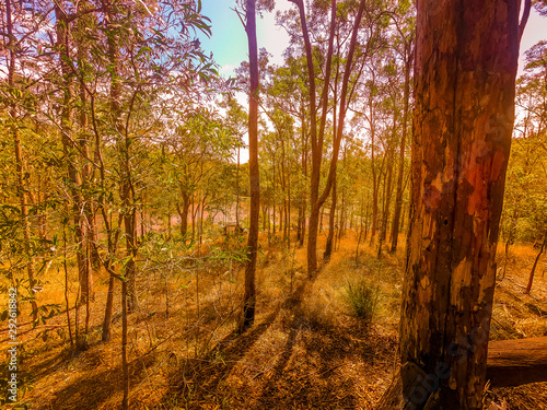 Enoggera Reservoir Australia