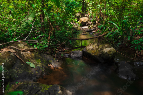 Small streams flow through abundant tropical forests in forest of Thailand Phang Nga Koh Yao Yai