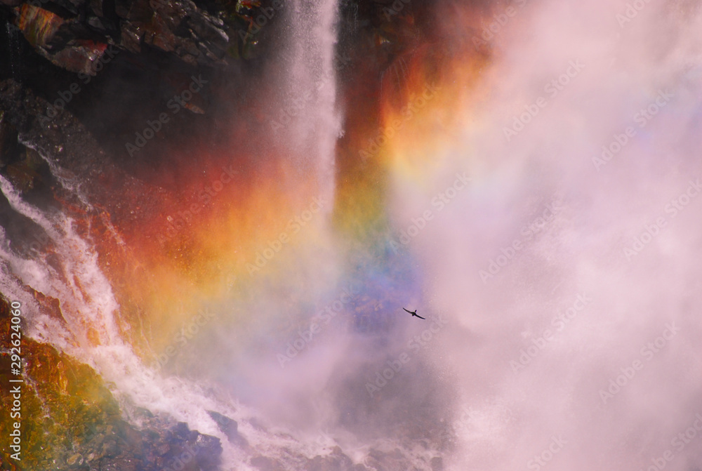 華厳の滝の虹とイワツバメの競演