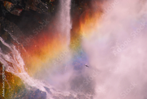 華厳の滝の虹とイワツバメの競演