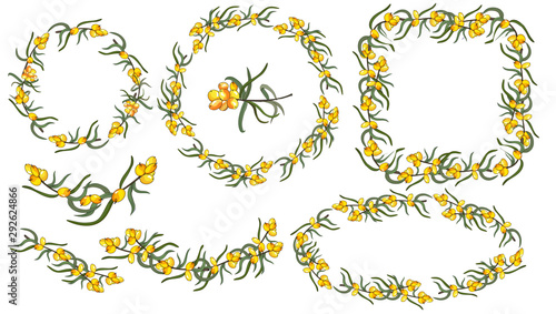 Set of frames from sea buckthorn berries. Frames round, square, oval, half circle