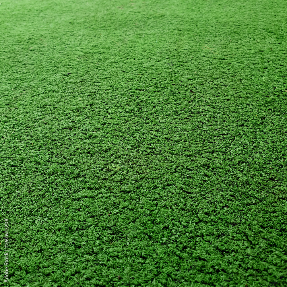 Cricket Pitch Texture Close up. Green Grass. Indoor Cricket Turf grass