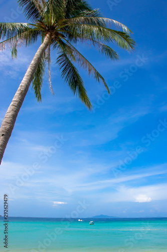  The beautiful island Koh Phi Phi in Thailand. Vieuw fromt the beach  with a palm tree and colored sea.