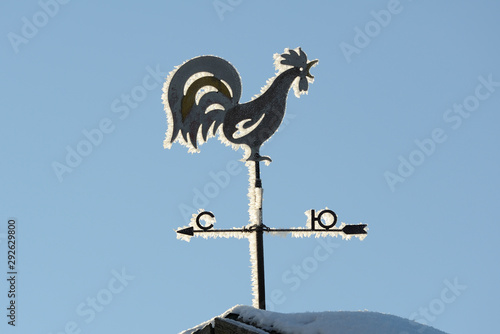 weather vane on openwork ridge in the form of a cock