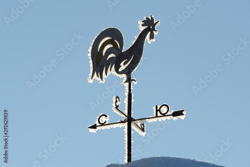 weather vane on openwork ridge in the form of a cock