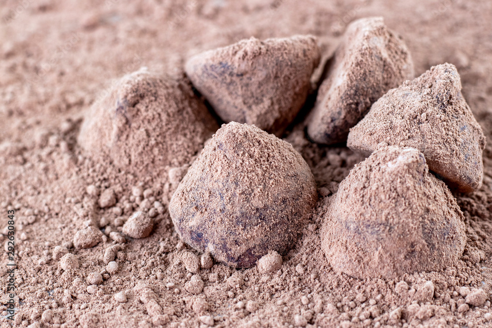 Chocolate Truffle. Chocolate Truffle.