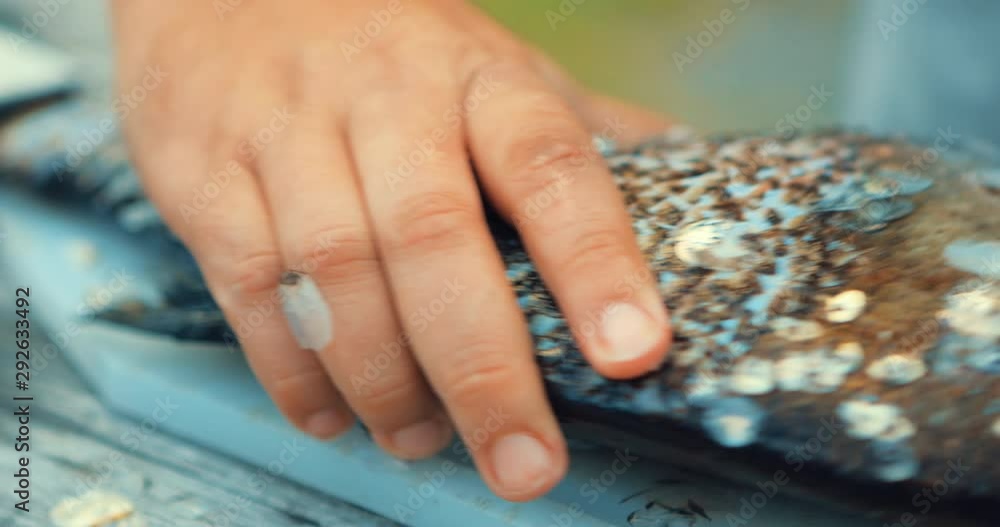 Young man cleans fish for cooking food. Remove the scales from fresh carp. Fish from a clean