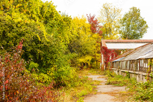 Garden greenhouse in autumn