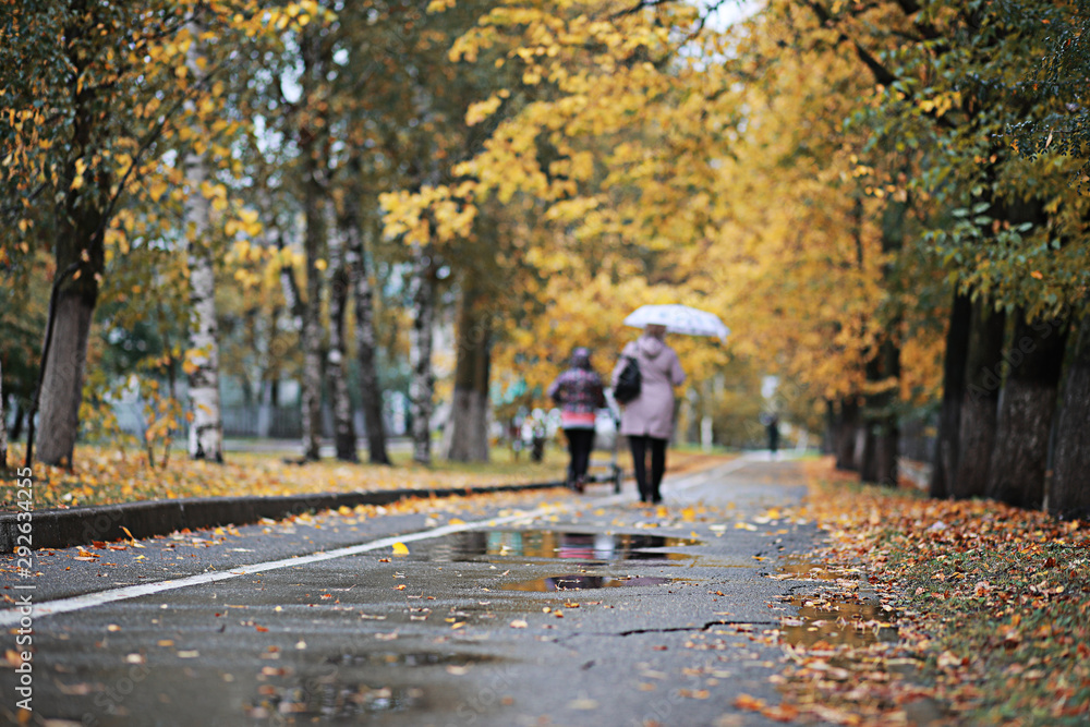 Autumn rain in the park Autumn rain in the park