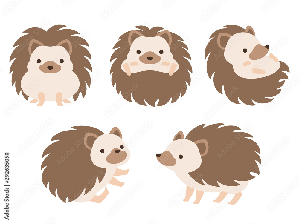 ハリネズミのイラストセット Stock Vector Adobe Stock ハリネズミのイラストセット Stock Vector Adobe Stock