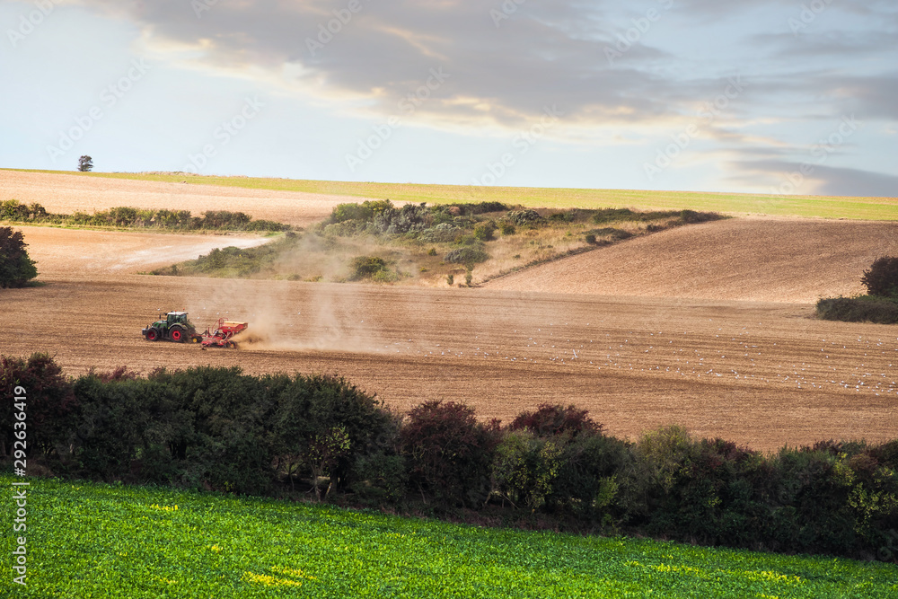Fototapeta premium jolie panorama avec un agriculteur au travail dans les champs