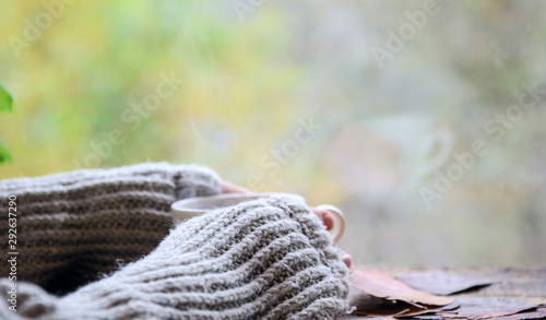 A woman in a warm knitted sweater holds hot coffee in her hands. Outside the window is an autumn garden. Concept - keep coffee warm in the cold.