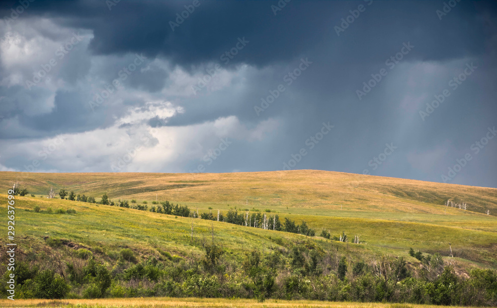 Landscape background. gray stormy sky and rain lines over yellow fields