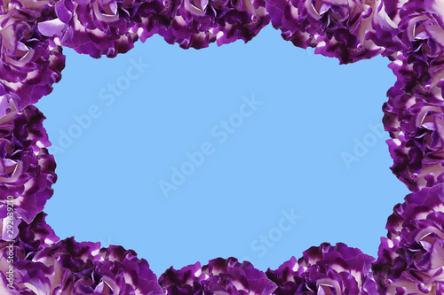 frame of purple flowers on a blue background