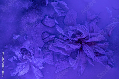 A beautiful background with frozen purple flower