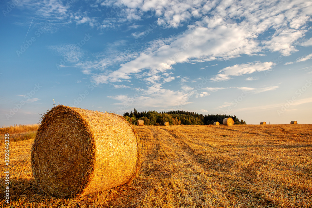 harvested field with straw bales in sunset, agriculture farming concept, Czech Republic, Europe