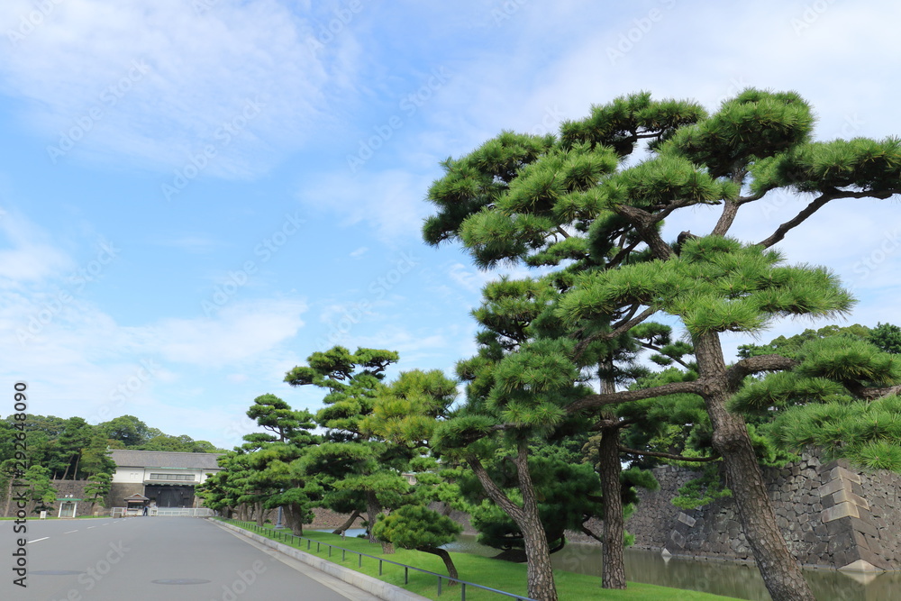 Obraz premium 東京駅丸の内皇居江戸城