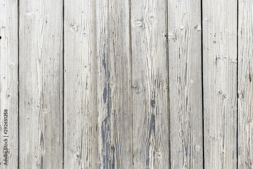 The white wood texture with natural patterns background The white wood texture with natural patterns background