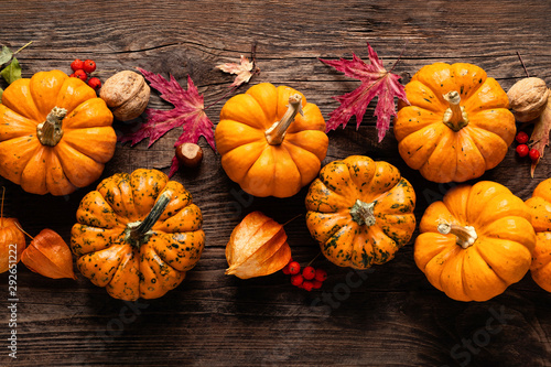 Autumn decorative pumpkins with fall leaves on wooden background. Thanksgiving or halloween holiday, harvest concept. Top view, copy space. Greeting card